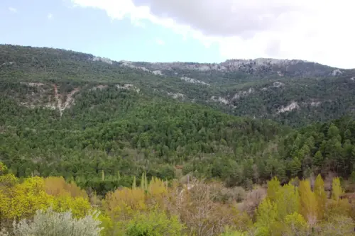 FiestasTradiciones-Dia-de-la-Cruz-Casa-la-NogueraRiopar67