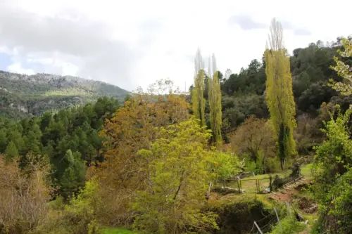 FiestasTradiciones-Dia-de-la-Cruz-Casa-la-NogueraRiopar68