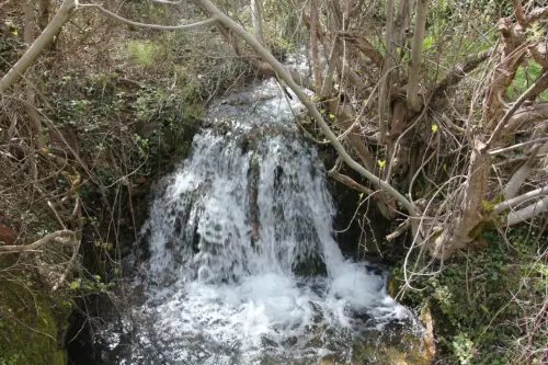 FiestasTradiciones-Dia-de-la-Cruz-Casa-la-NogueraRiopar8