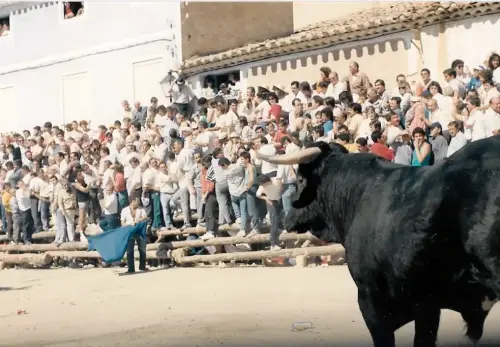 Elche-de-la-Sierra-Encierros