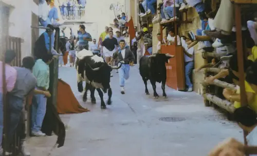 Elche-de-la-Sierra-Encierros11