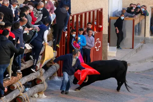 Elche-de-la-Sierra-Encierros13
