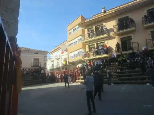 Elche-de-la-Sierra-Encierros15