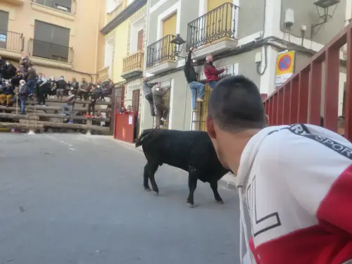 Elche-de-la-Sierra-Encierros18