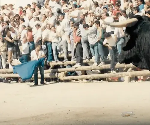 Elche-de-la-Sierra-Encierros2