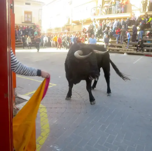 Elche-de-la-Sierra-Encierros20