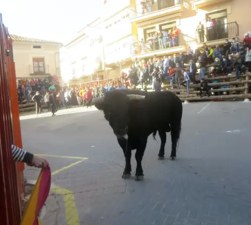 Elche-de-la-Sierra-Encierros21