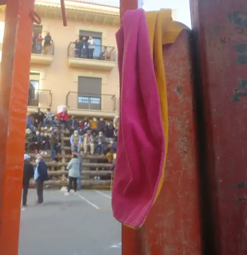 Elche-de-la-Sierra-Encierros23