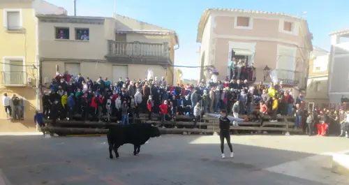 Elche-de-la-Sierra-Encierros26