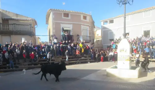 Elche-de-la-Sierra-Encierros27