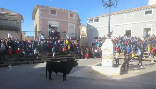 Elche-de-la-Sierra-Encierros28