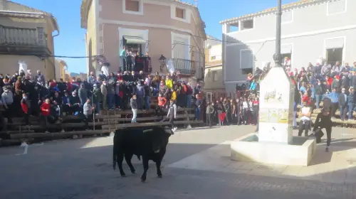 Elche-de-la-Sierra-Encierros29