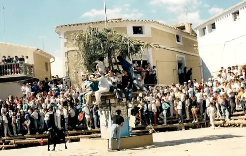 Elche-de-la-Sierra-Encierros3