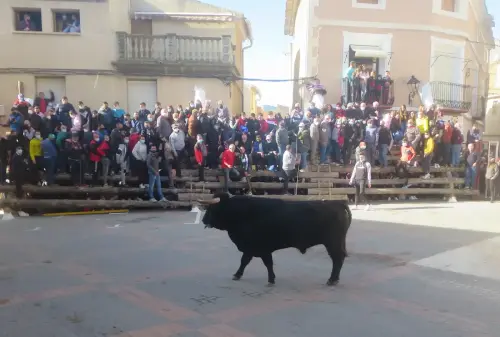Elche-de-la-Sierra-Encierros30