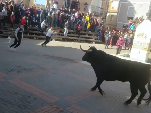 Elche-de-la-Sierra-Encierros32