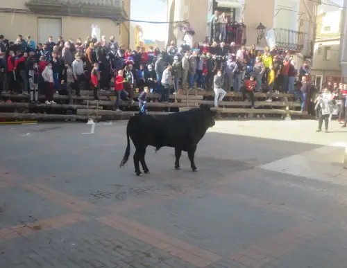 Elche-de-la-Sierra-Encierros33
