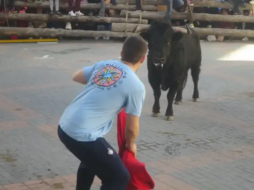 Elche-de-la-Sierra-Encierros34