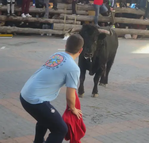 Elche-de-la-Sierra-Encierros35
