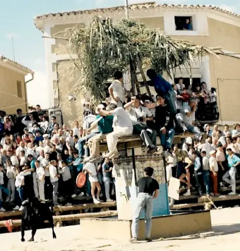 Elche-de-la-Sierra-Encierros4