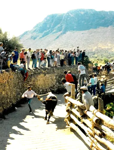 Elche-de-la-Sierra-Encierros5