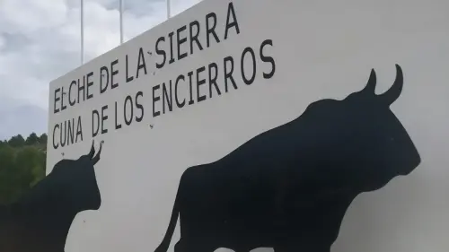 Elche-de-la-Sierra-Encierros9