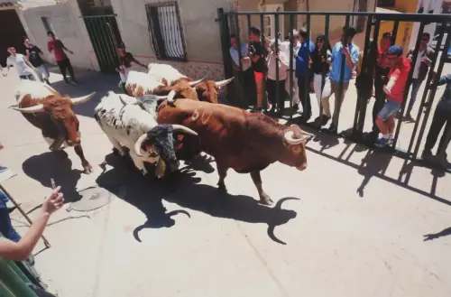 Encierros11