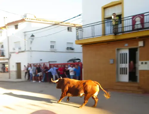 Encierros23