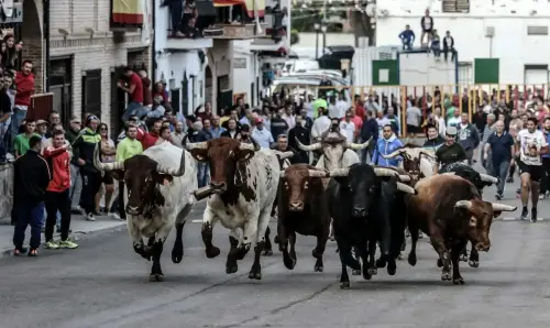 Encierros3