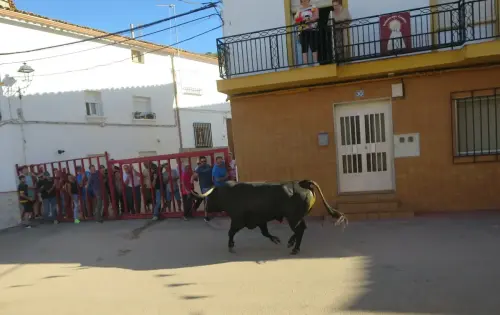 Encierros34