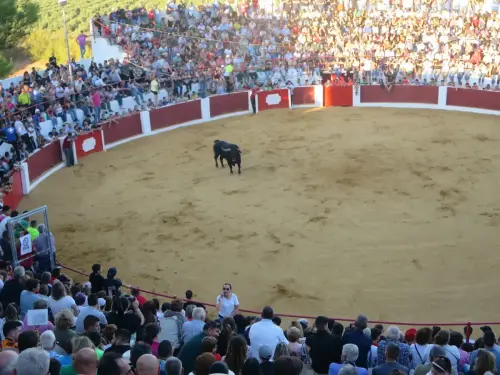 Encierros37