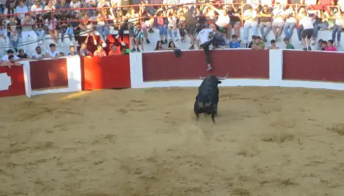 Encierros41