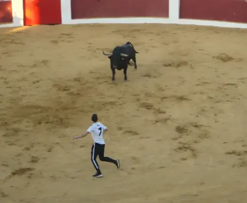Encierros42