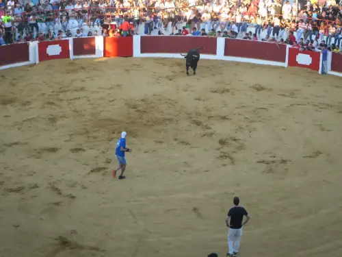 Encierros44