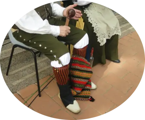 FiestasTradiciones-Mayos-a-la-Virgen-y-a-las-Mozas-El-Salobral-Albacete19