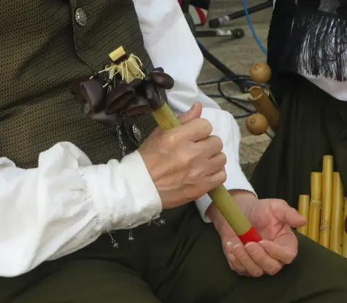 FiestasTradiciones-Mayos-a-la-Virgen-y-a-las-Mozas-El-Salobral-Albacete36