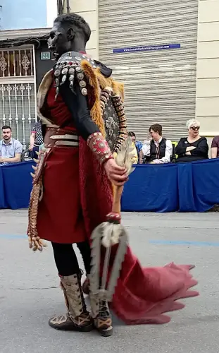 FiestasTradiciones-MorCrist.-Almansa255