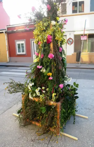 Arbol-mayo-Ferrol2