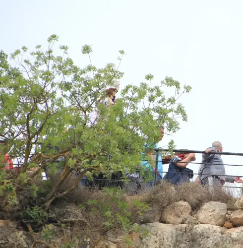 FiestasTradiciones-Romeria-Virgen-Cubas-Jorquera136