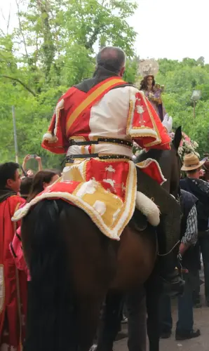 FiestasTradiciones-Romeria-Virgen-Cubas-Jorquera176