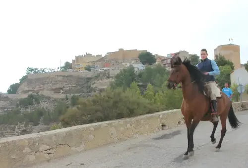 FiestasTradiciones-Romeria-Virgen-Cubas-Jorquera69