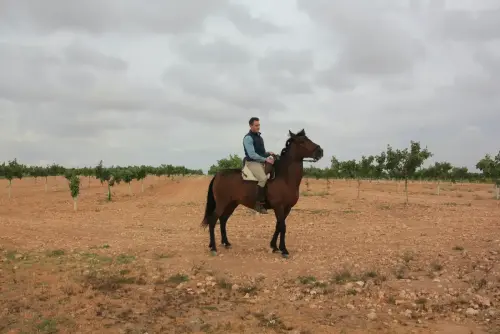 FiestasTradiciones-Romeria-Virgen-Cubas-Jorquera99