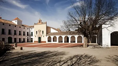 Romeria-Virgen-de-Belen-Almansa17