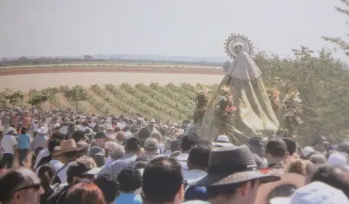 Romeria-Virgen-de-los-Remedios-La-RodaFuensanta11