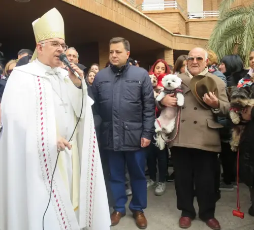 FiestasTradiciones-S.Anton-Albacete17