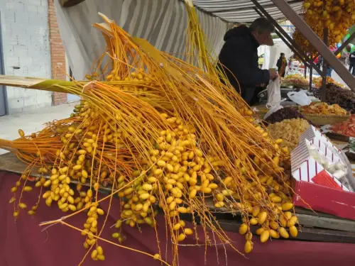 FiestasTradiciones-S.Anton-Albacete2