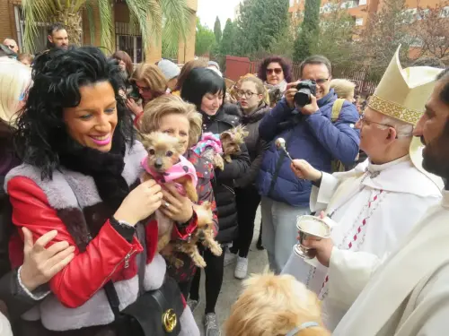 FiestasTradiciones-S.Anton-Albacete20