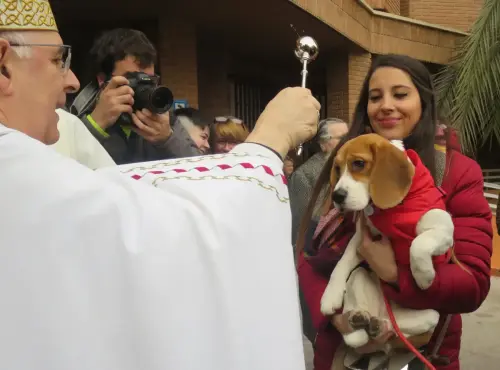 FiestasTradiciones-S.Anton-Albacete27