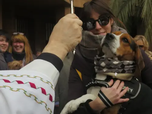 FiestasTradiciones-S.Anton-Albacete28