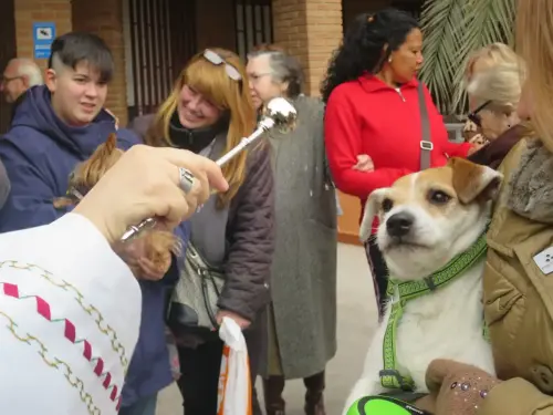 FiestasTradiciones-S.Anton-Albacete29