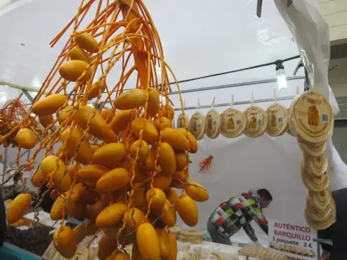 FiestasTradiciones-S.Anton-Albacete8